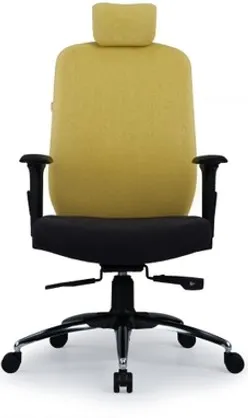 CHAIR: STARRY