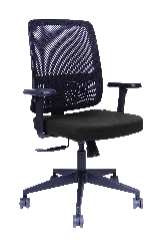 CHAIR: VERO